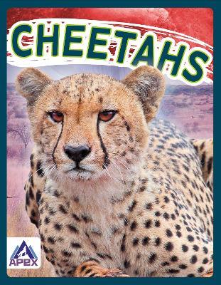 Wild Cats: Cheetahs - Sophie Geister-Jones - cover