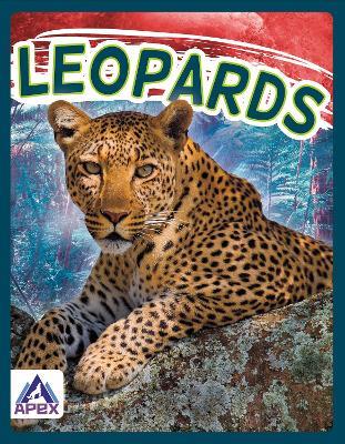 Wild Cats: Leopards - Sophie Geister-Jones - cover