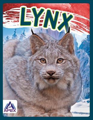 Wild Cats: Lynx - Sophie Geister-Jones - cover