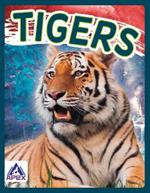 Wild Cats: Tigers