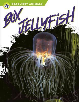 Deadliest Animals: Box Jellyfish - Connor Stratton - cover