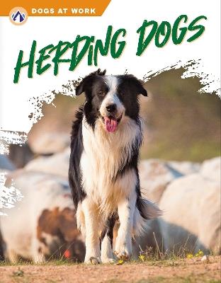 Herding Dogs - Marie Pearson - cover