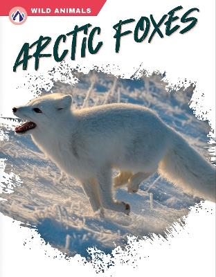 Arctic Foxes - Megan Gendell - cover