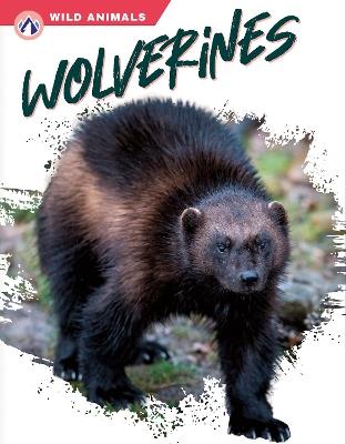 Wolverines - Megan Gendell - cover