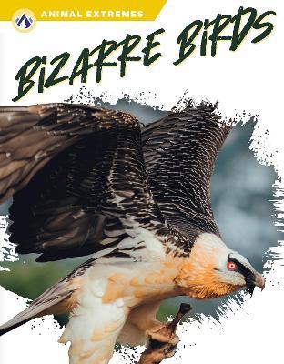 Bizarre Birds - Libby Wilson - cover