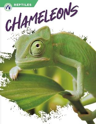 Chameleons - Megan Gendell - cover