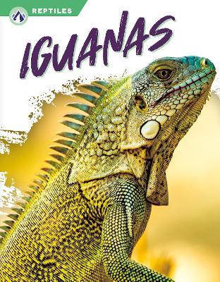 Iguanas - Shannon Jade - cover