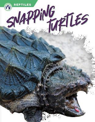 Snapping Turtles - Shannon Jade - cover