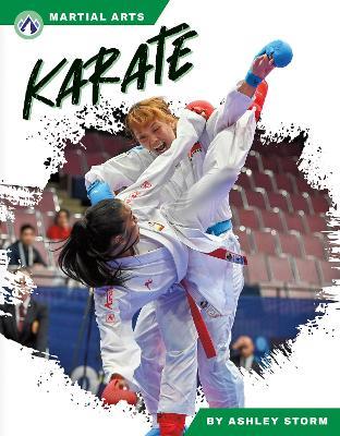 Karate - Ashley Storm - cover