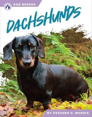 Dachshunds - Heather C. Morris - cover