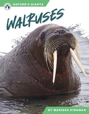 Walruses - Marissa Kirkman - cover