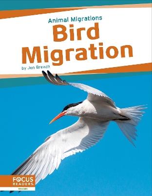 Bird Migration - Jen Breach - cover