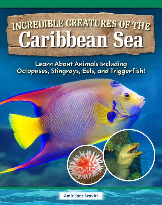 Incredible Creatures of the Caribbean Sea - Amie Jane Leavitt - ebook