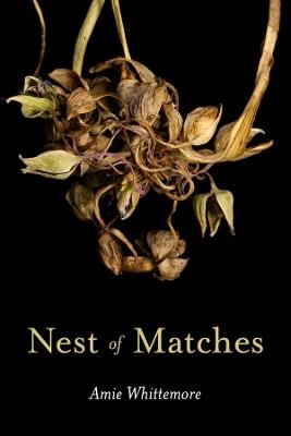 Nest of Matches - Amie Whittemore - cover