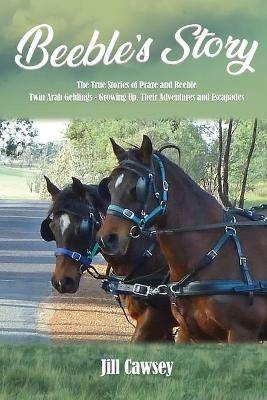 Beeble's Story - Jill Cawsey - cover