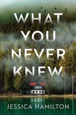 What You Never Knew: A Novel - Jessica Hamilton - cover