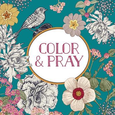 Color & Pray (Keepsake Coloring Book) - New Seasons,Publications International Ltd - cover