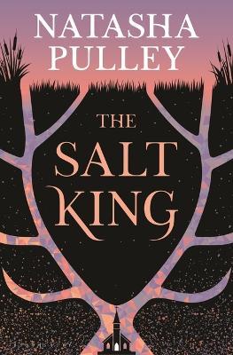 The Salt King - Natasha Pulley - cover