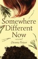 Somewhere Different Now - Donna Peizer - cover