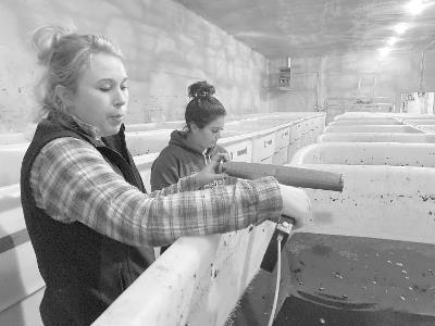 Crush: My Year As an Apprentice Winemaker - Nicholas O'Connell - cover