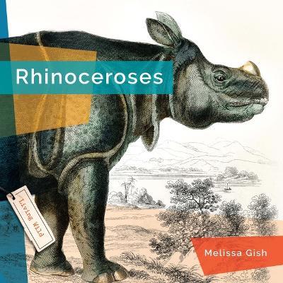 Rhinoceroses - Melissa Gish - cover