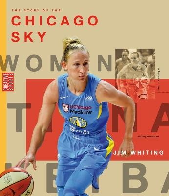 The Story of the Chicago Sky - Jim Whiting - cover