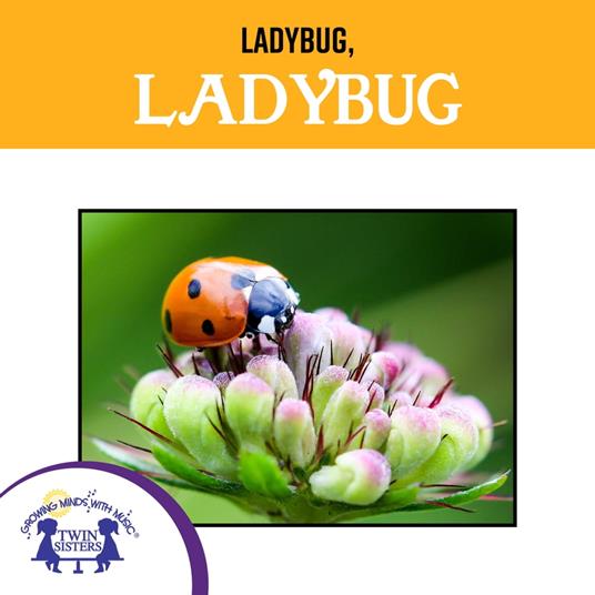 Ladybug, Ladybug