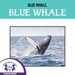 Blue Whale, Blue Whale