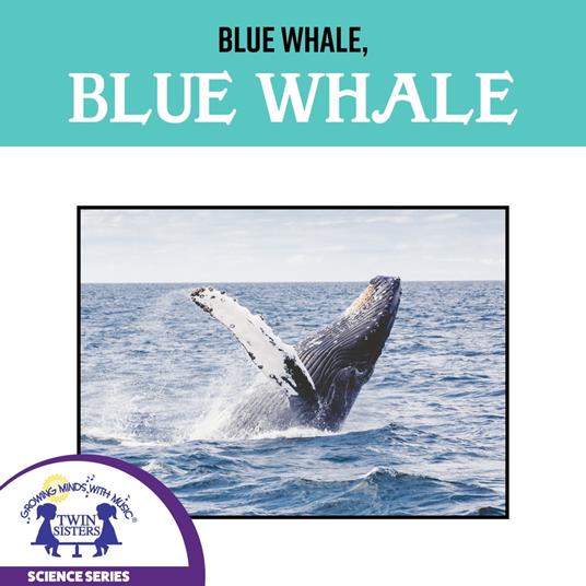 Blue Whale, Blue Whale