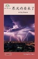 暴风雨要来了: A Big Storm - Washington Yu Ying Pcs - cover