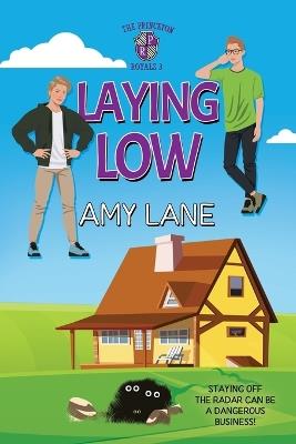 Laying Low - Amy Lane - cover