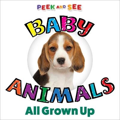 Peek and See Baby Animals All Grown Up - Editors of Happy Fox Books - cover