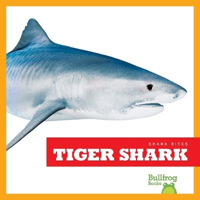 Tiger Shark - Jenna Lee Gleisner - cover