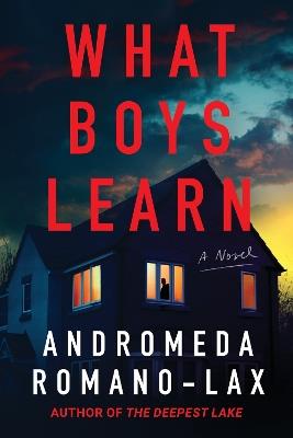 What Boys Learn - Andromeda Romano-Lax - cover