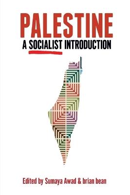 Palestine: A Socialist Introduction: A Socialist Introduction - cover