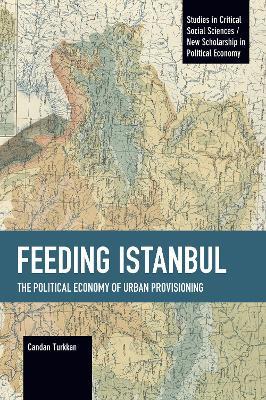 Feeding Istanbul: The Political Economy of Urban Provisioning - Candan Turkkan - cover