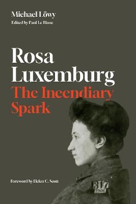 Rosa Luxemburg: The Incendiary Spark: Essays - Michael Lwy - cover