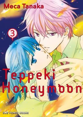 Teppeki Honeymoon Volume 3 - Meca Tanaka - cover