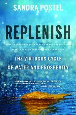 Replenish: The Virtuous Cycle of Water and Prosperity - Sandra Postel - cover