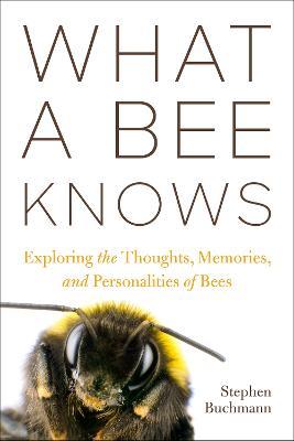 What a Bee Knows: Exploring the Thoughts, Memories, and Personalities of Bees - Stephen L Buchmann - cover