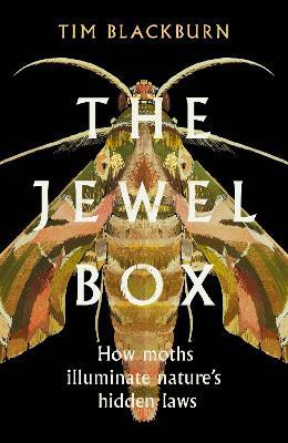The Jewel Box: How Moths Illuminate Nature's Hidden Rules - Tim Blackburn - cover