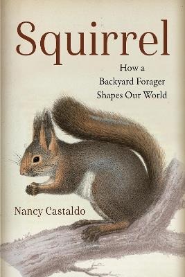 Squirrel: How a Backyard Forager Shapes Our World - Nancy Castaldo - cover
