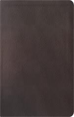 La Biblia De Estudio De La Reforma, Edición Condensada