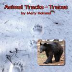 Animal Tracks and Traces