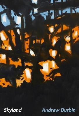 Skyland - Andrew Durbin - cover