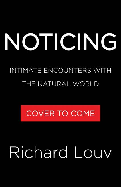 Noticing