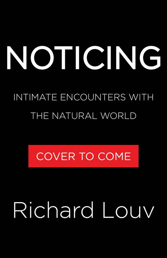 Noticing