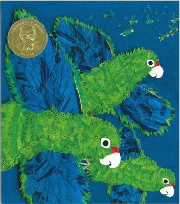 Parrots Over Puerto Rico - Susan L Roth,Cindy Trumbore - cover