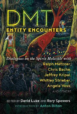 DMT Entity Encounters: Dialogues on the Spirit Molecule with Ralph Metzner, Chris Bache, Jeffrey Kripal, Whitley Strieber, Angela Voss, and Others - cover