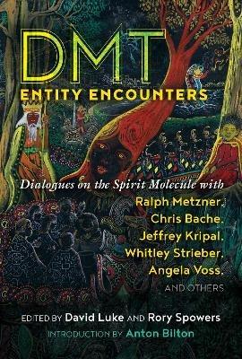 DMT Entity Encounters: Dialogues on the Spirit Molecule with Ralph Metzner, Chris Bache, Jeffrey Kripal, Whitley Strieber, Angela Voss, and Others - cover